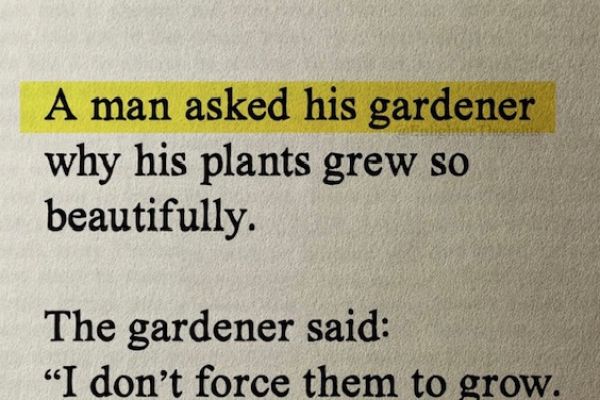 a-man-asked-his-gardener9C2DF09A-F7CF-8984-9F17-DC7591CAB2DB.jpg